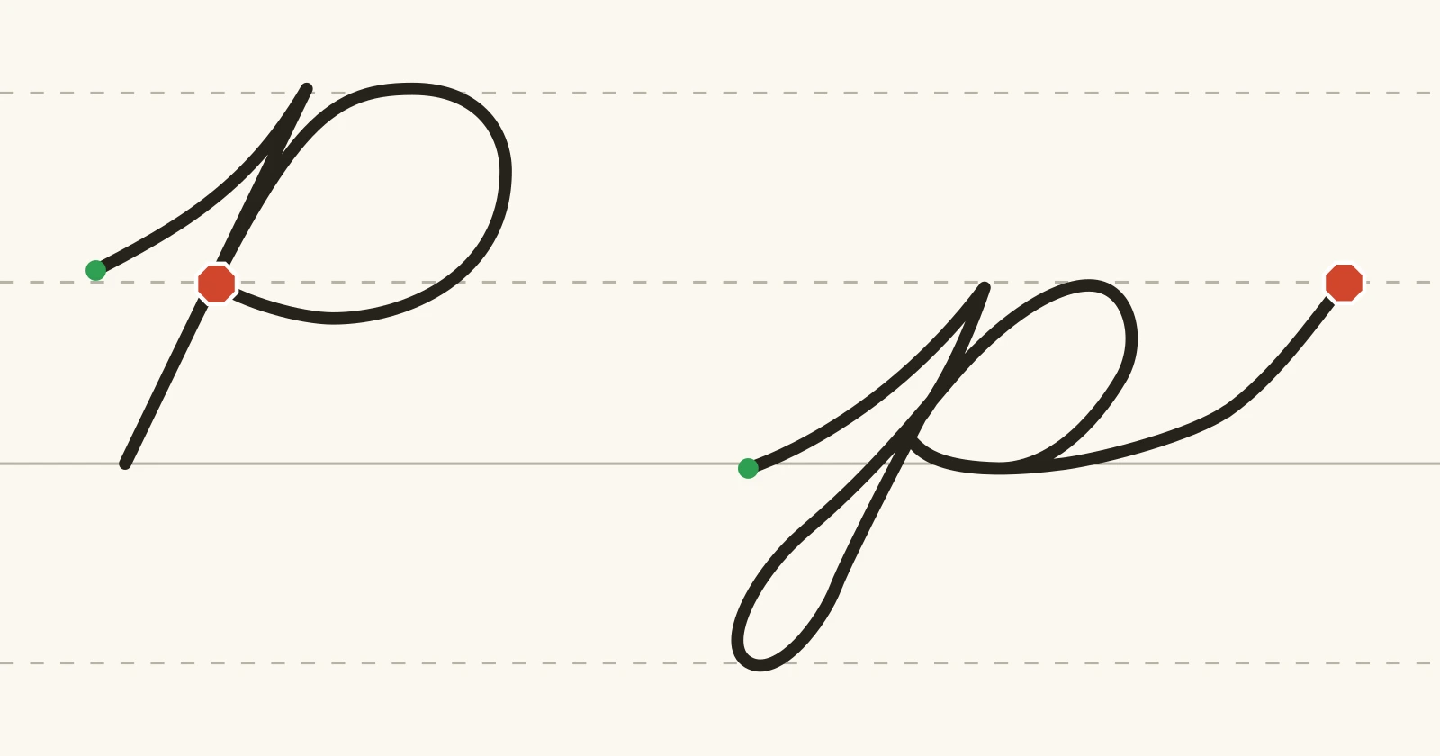 The cursive capital P and lowercase p on handwriting guidelines, each with a green starting dot and a red stop sign